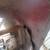 Kenworth T800 hood 5 thumbnail