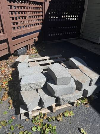 Fire Pit Bricks (22) 1