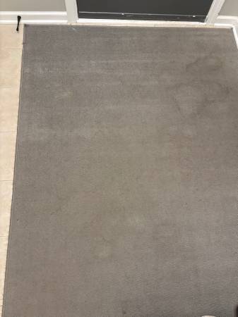 Gray Rug 1