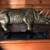 MCM Bronze rhinoceros figurine 5 thumbnail