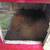 Rabbit hutch 5 thumbnail