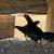 Rooster 7 thumbnail