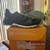 Women’s Adidas Terrex Agravic size 6 1/2 with box 2 thumbnail
