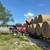 Freshly baled buffel 3 thumbnail