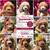 Goldendoodles 1 thumbnail