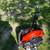 Backpack leaf blower 5 thumbnail