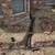 FRENCH DRAIN INSTALLATION * GUTTER DOWNSPOUT DRAINAGE 12 thumbnail