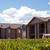Sparkling Pool, Efficient Appliances, Vinyl Flooring, Nearby Dog Park 8 thumbnail