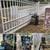 Local Expert Electric Gate Garage Door Repair Service Near Me 24/7🚨 7 thumbnail