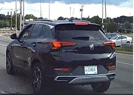 Crazy female driver 1
