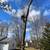 landscape/ tree work/ junk removal 13 thumbnail