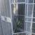 Bird cage 3 thumbnail