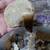Rocks and some shells 4 thumbnail