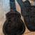 Breedlove Guitar Case 2 thumbnail