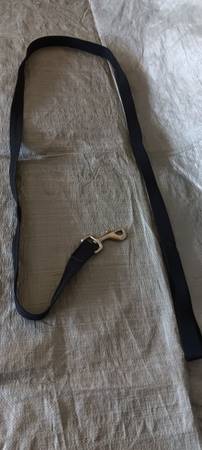 DOG LEASH (2) 1
