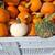 Pumpkins and specialty pumpkins by the bin 3 thumbnail