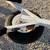 EZ loader single PWC/Jetski/Boat/kayak trailer 8 thumbnail
