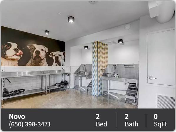 $4.198 / 2br - ¡Vecindario tranquilo e increíbles comodidades! ¡2 habitaciones / 2 baños! (Mountain View)63657997919363120