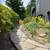 FAST LANDSCAPE MAINTENANCE SERVICES 18 thumbnail