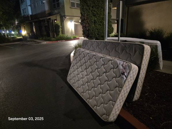 Two TWIN mattresses for free 1