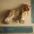 Cocker Spaniel Ceramic Dog - 1960's - VG Condition 7 thumbnail