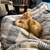 Kitten 2 thumbnail