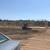Excavation, Logging & Demo services 4 thumbnail