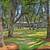 Cable Ready, Located in Lakewood, 2 Bed 3 thumbnail