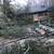 Tree Removal Company, Storm Damage, Land Clearing 10 thumbnail