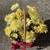 Flowers (artificial) 6 thumbnail