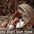 Farm-Fresh Chicken Eggs 3 thumbnail