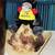 COLLECTORS PLUSH HORSE FERRARI MASCOT - Certified Authentic 1980 3 thumbnail