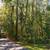 Lake front lot for sale $120000.   .9 acres 6 thumbnail