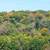 5 Acres of Land with a House 4 thumbnail