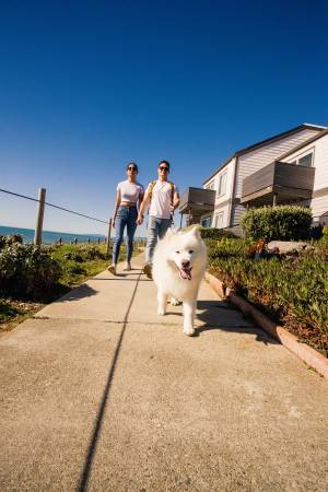 $2,735 / 424ft2 - Visitor Guest Suite, Stainless Steel Appliances, Free Weights (pacifica)63847329539587120
