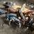 Feeder Pigs 2 thumbnail