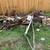 MOWING •TREE TRIMMING • PROPERTY CLEAN UP • JUNK REMOVAL 17 thumbnail
