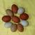 Hatching Eggs 1 thumbnail