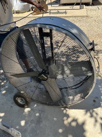 Big Fan 1