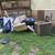FALL CLEANUP SPECIAL ,GET YOUR YARD READY 9 thumbnail