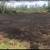 Earthmoving, Excavation, Backhoe, and Bulldozer service 9 thumbnail
