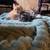 6 week old kittens for rehoming 5 thumbnail