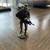Vietnam Veterans Memorial Fund "Jungle Squad" 12 thumbnail
