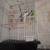 2 parakeets 1 thumbnail