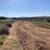 20 acres of land in Tehachapi 10 thumbnail