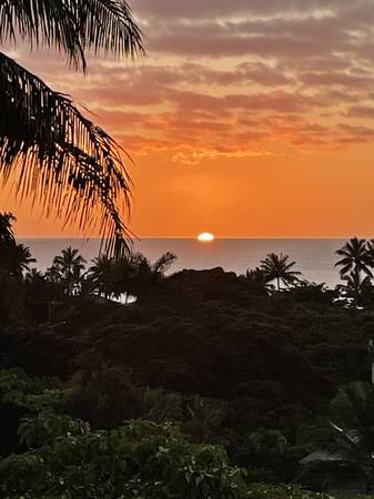 Ocean views 1