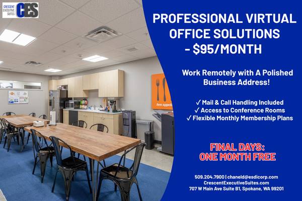 Professional Virtual Office Solutions 1
