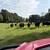 bred cows 7 thumbnail