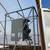 Commercial greenhouse liquidation 9 thumbnail