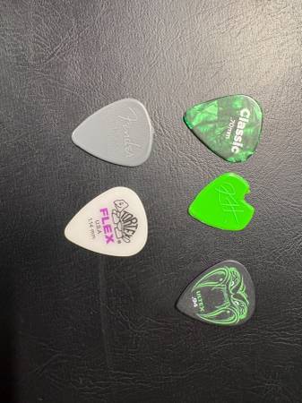 Assorted Guitar Picks 2 1